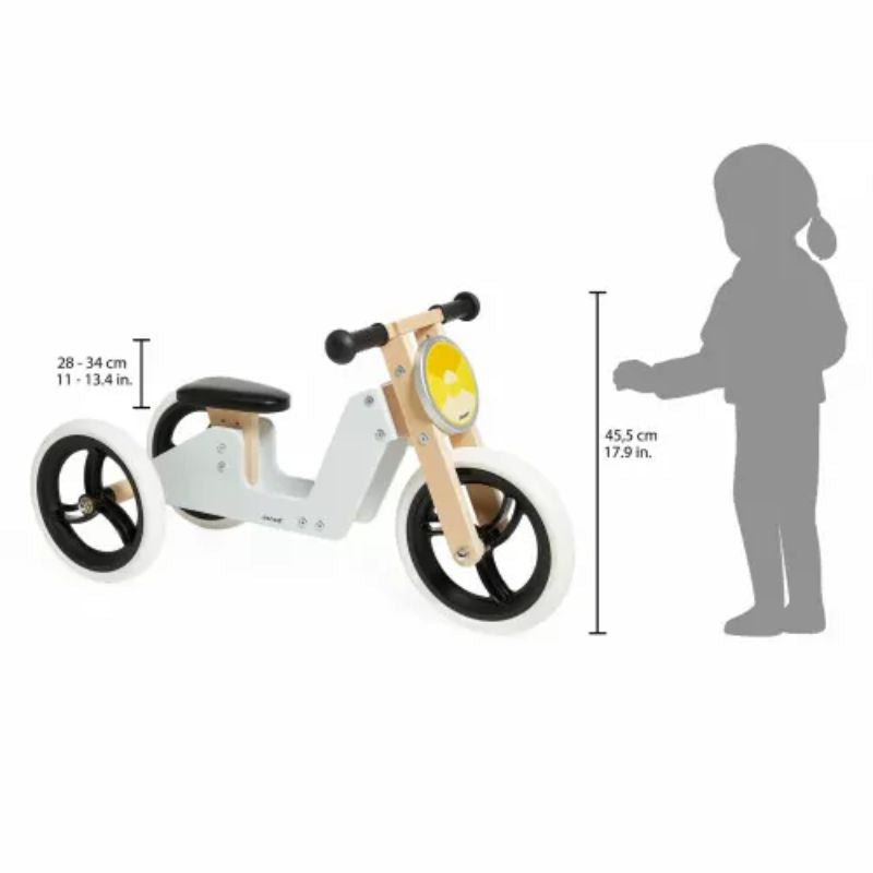 2-IN-1 Tricycle 