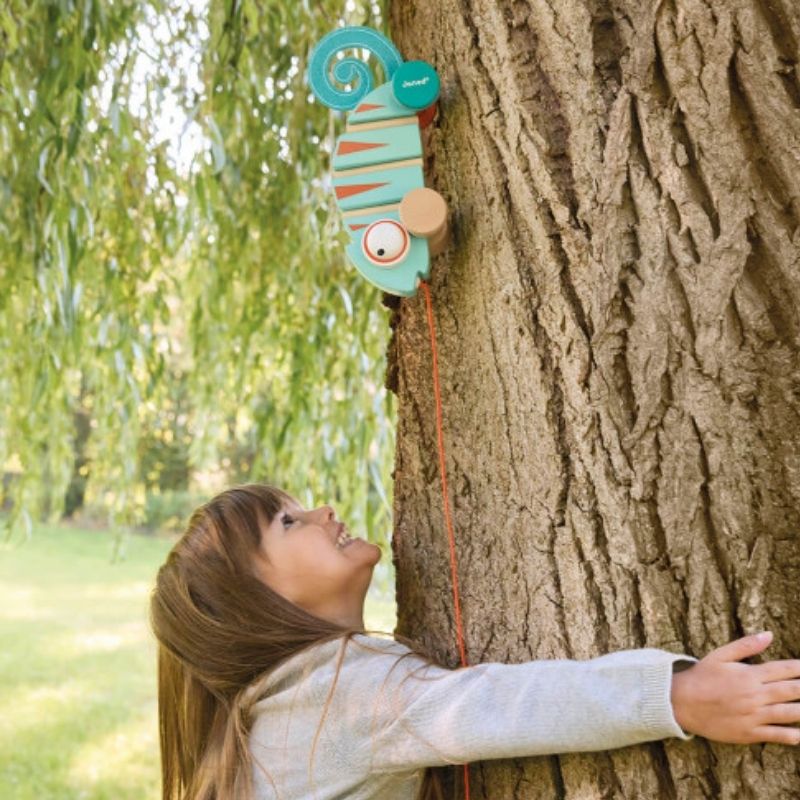 Pull-Along Chameleon 