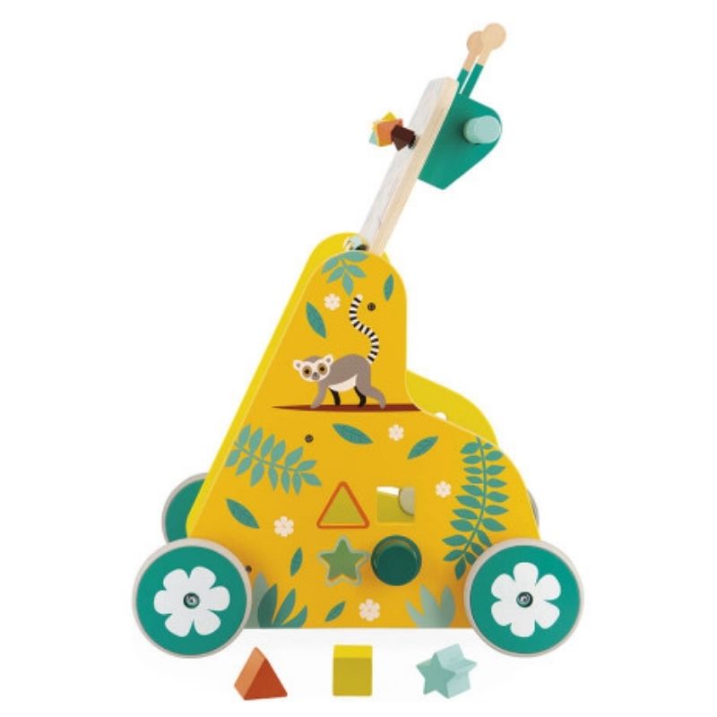 Multi-Activity Trolley