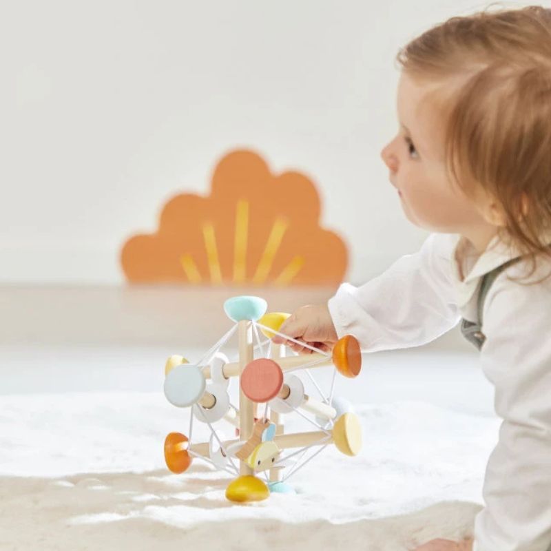 Pure Wooden Sensory Ball