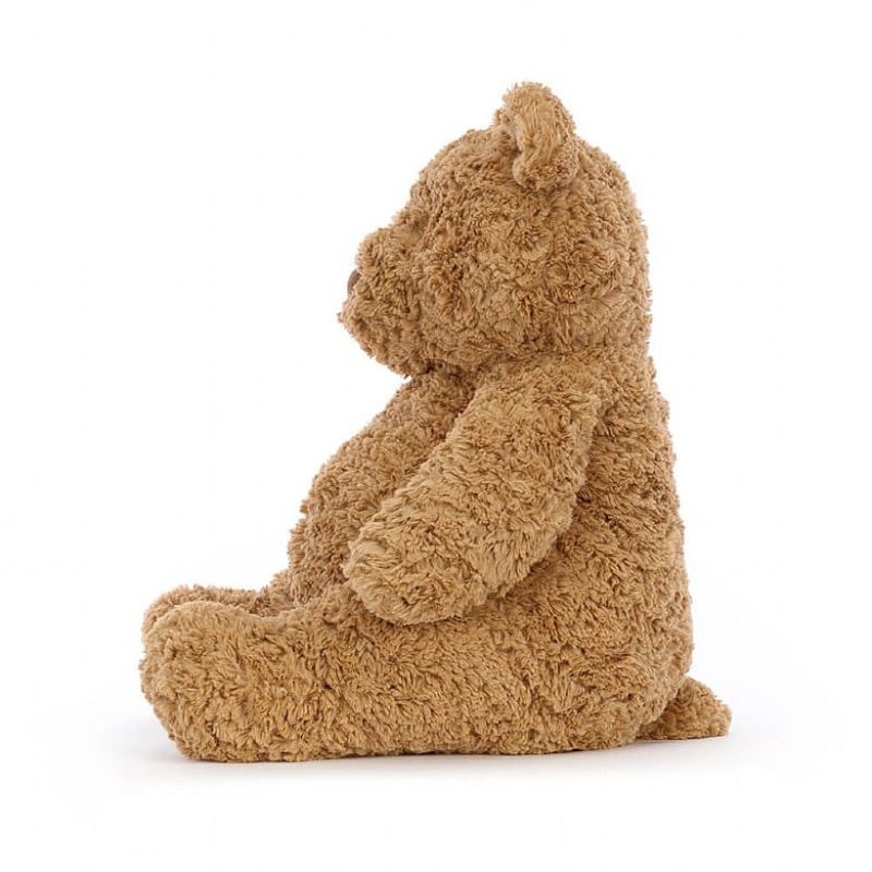 Bartholomew Bear Loves You Book + Plush Bundle