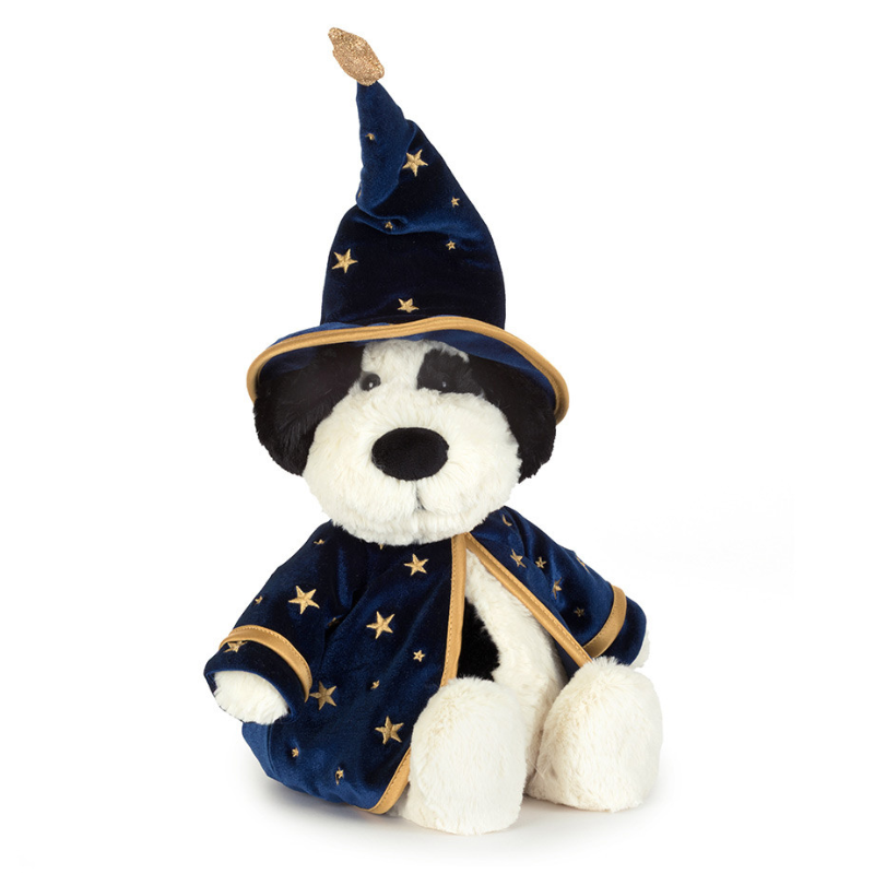 Rufferty Puppy Wizard Outfit