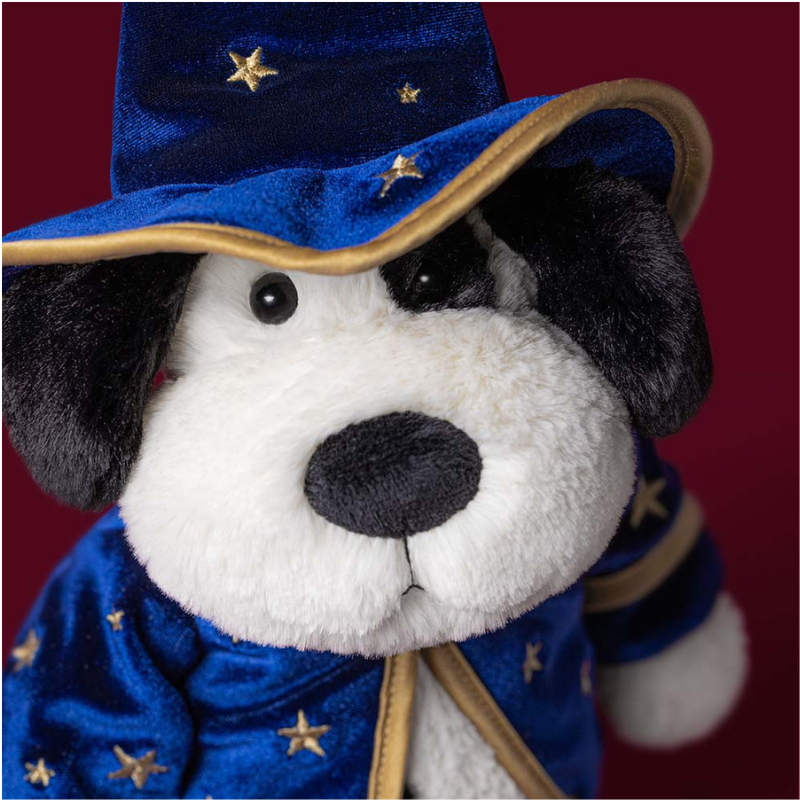 Rufferty Puppy Wizard Outfit
