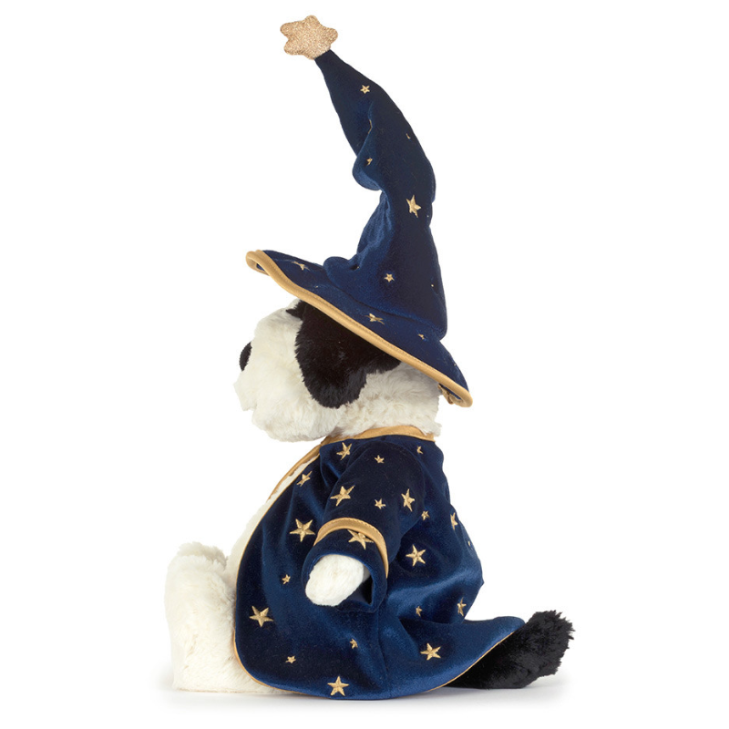 Rufferty Puppy Wizard Outfit