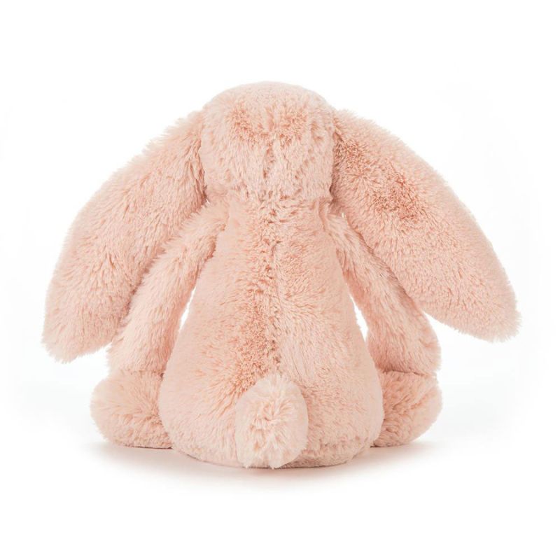 Bashful Bunnies Plush Toy