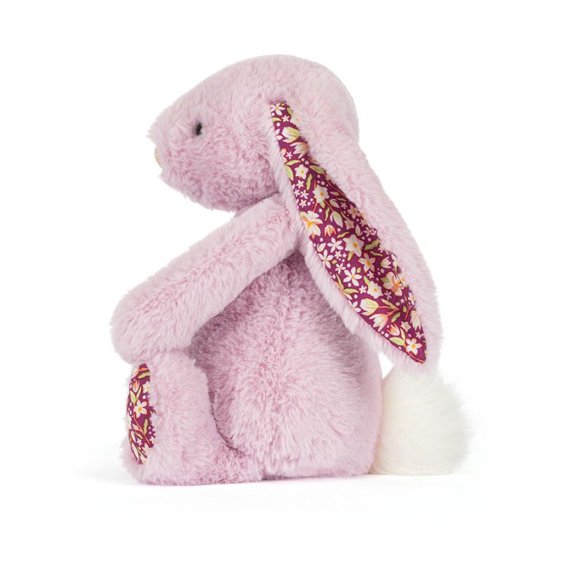 Lapin de luxe timide