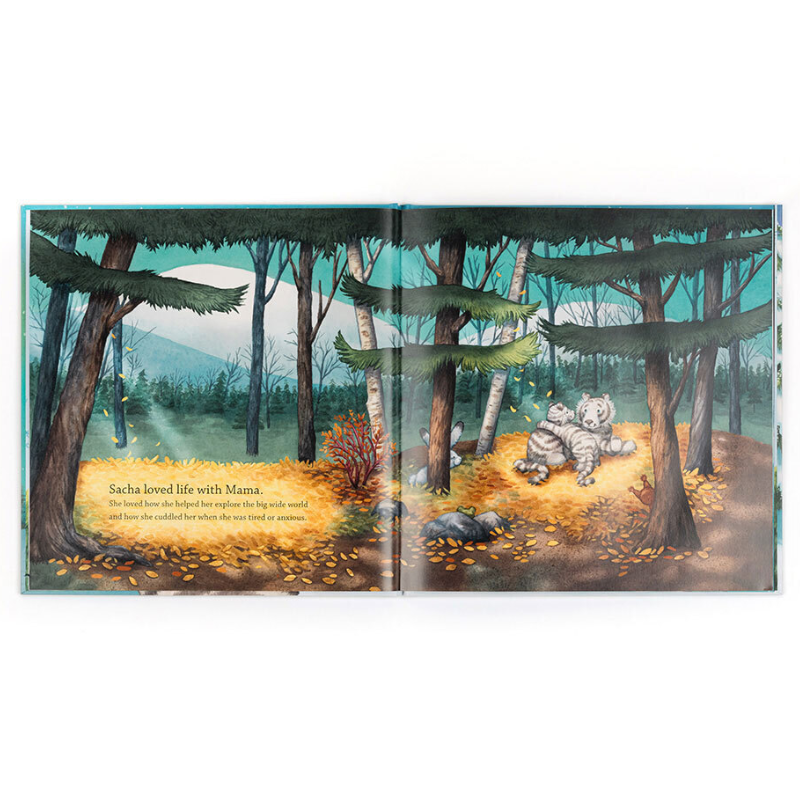 Sacha and the Most Wonderful Thing Book