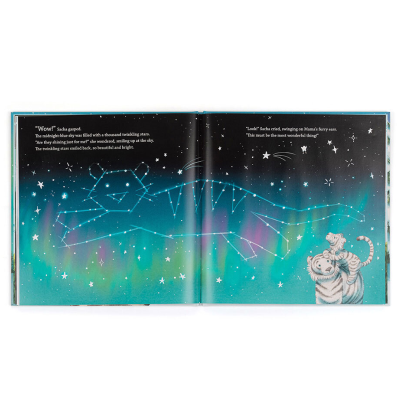 Sacha and the Most Wonderful Thing Book