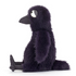 Hocus Crow
