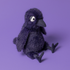 Hocus Crow