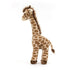 Dara Girafe