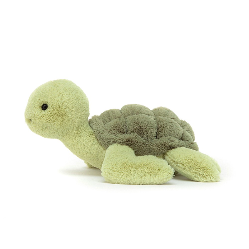Tortue Tully