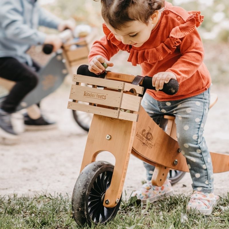 Tiny Tots PLUS 2-in-1 Tricycle and Balance Bike