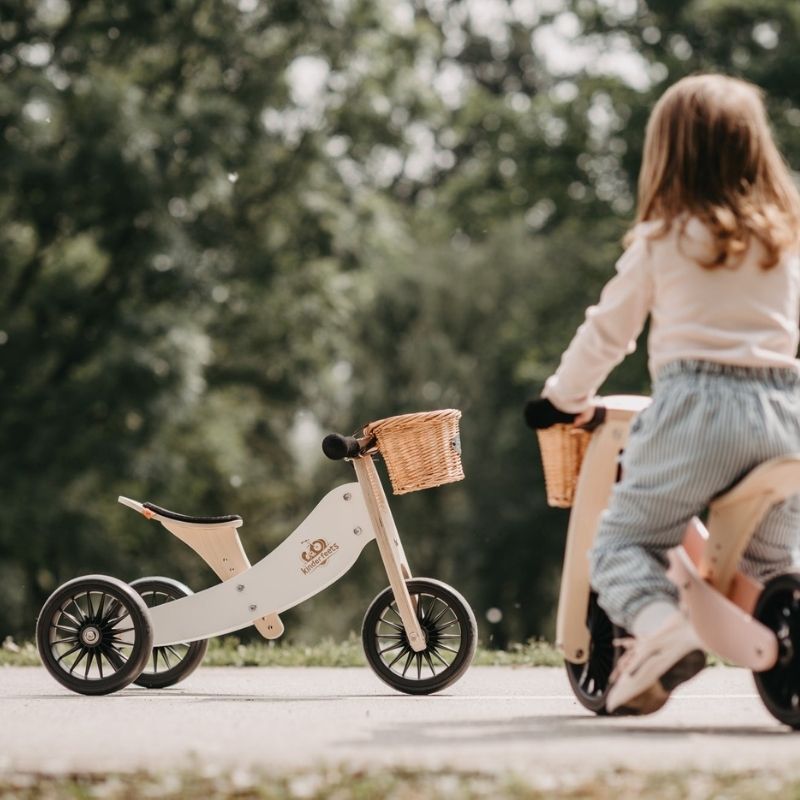 Tiny Tots PLUS 2 in 1 Tricycle and Balance Bike Snuggle Bugz