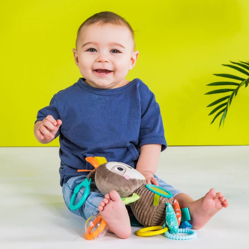 Playful Pals Take-Along Activity Toy