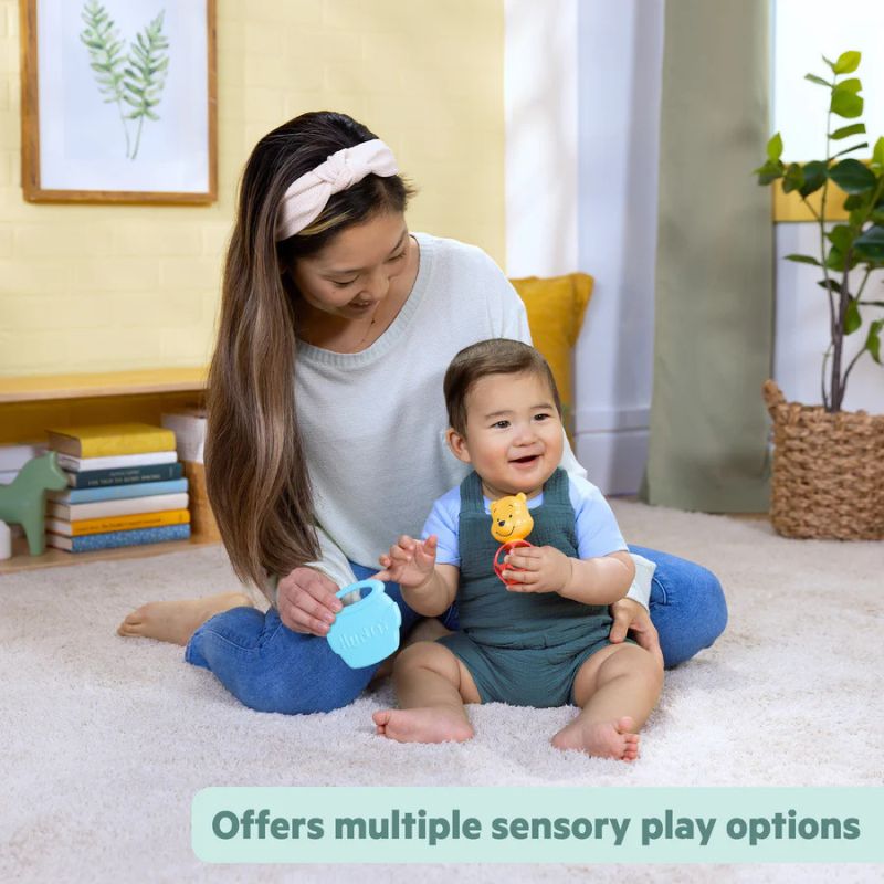 Winnie The Pooh Hunny & Shake Rattle & Teether