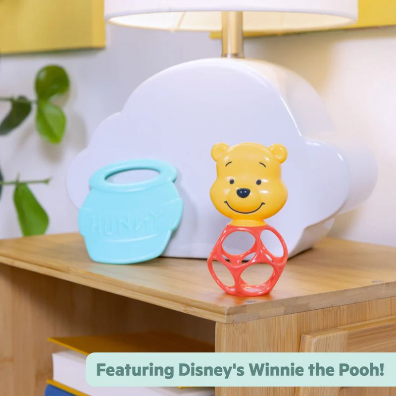 Winnie The Pooh Hunny & Shake Rattle & Teether