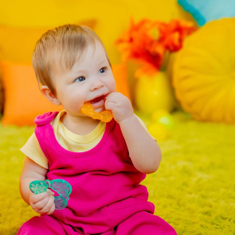 Chill & Teethe Teething Toy
