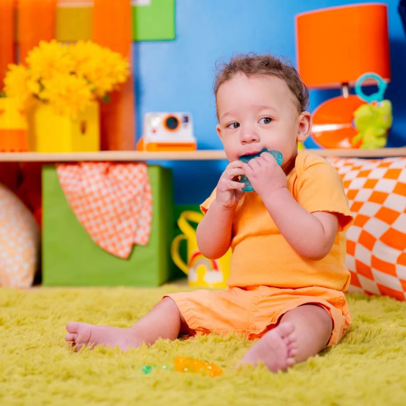 Chill & Teethe Teething Toy