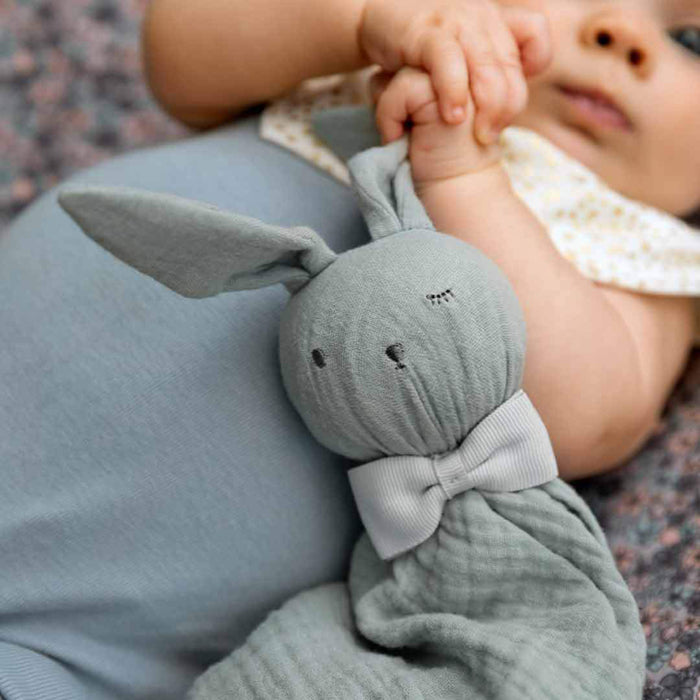 Blinkie Comforters