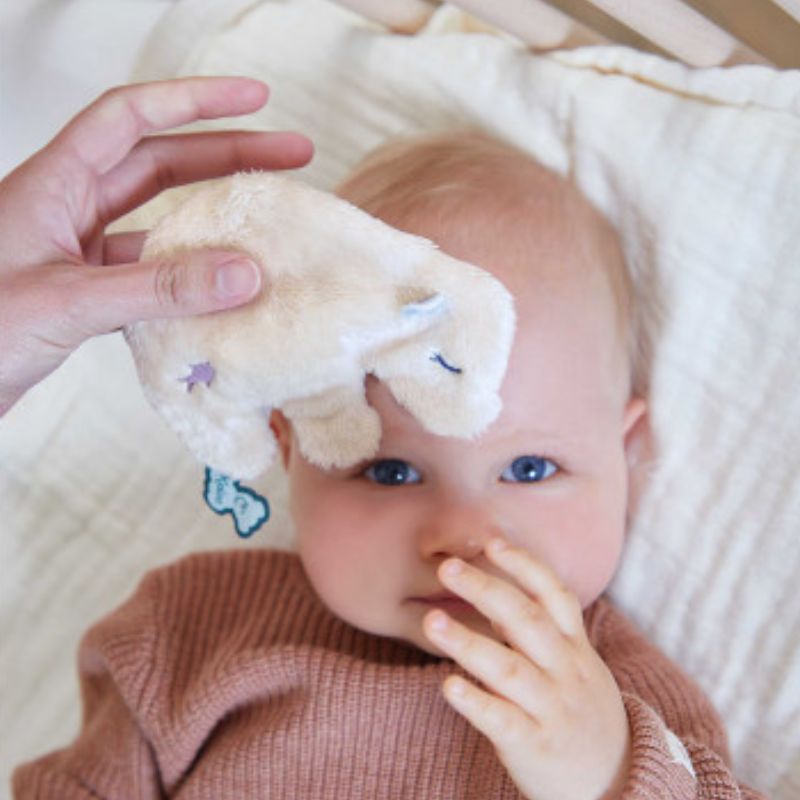 Soothing Baby Cold Pack - Bear