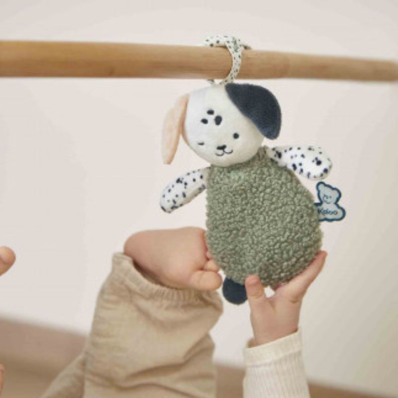 Sensory Puppy Soft Toys - Set of 3