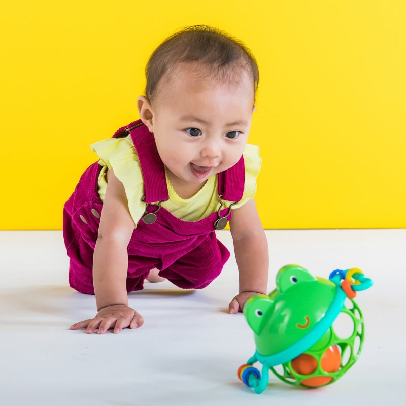 Oball Easy Grasp Jingle & Shake Pal