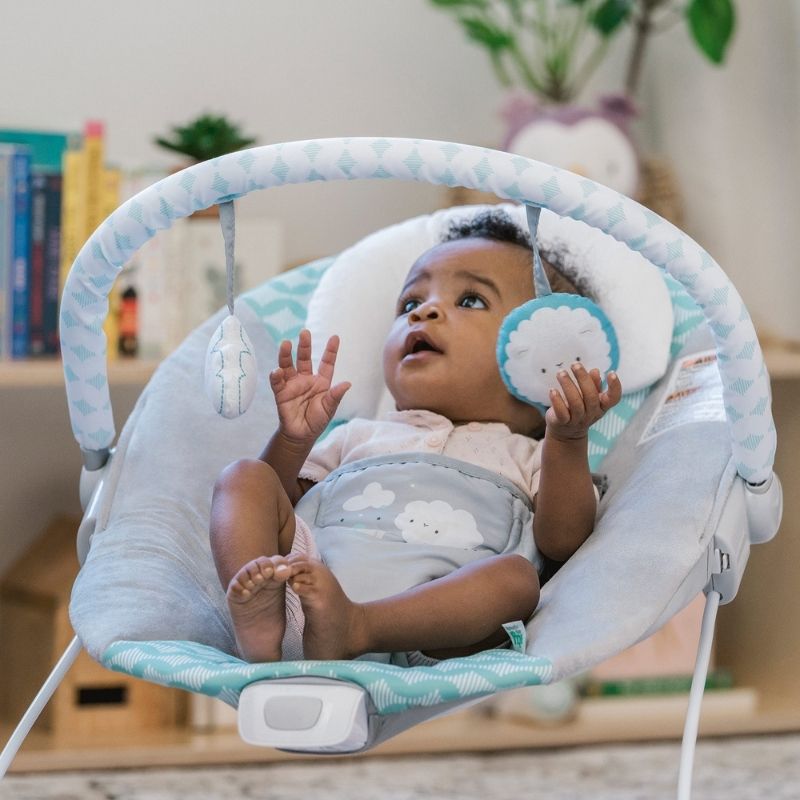 Bouncity Bounce Vibrating Deluxe Bouncer - Goji