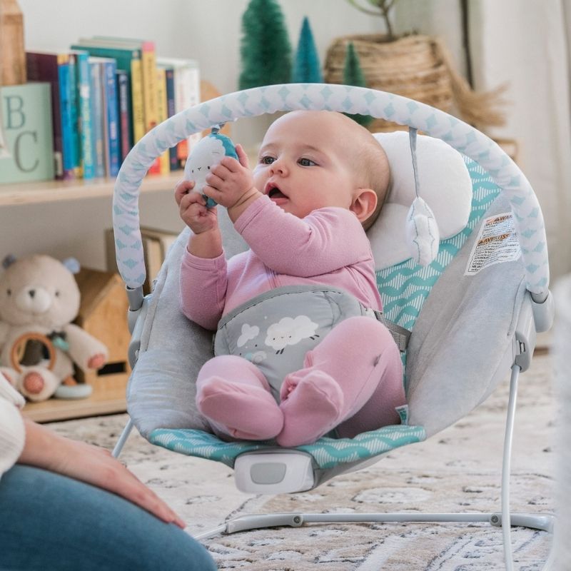 Bouncity Bounce Vibrating Deluxe Bouncer - Goji