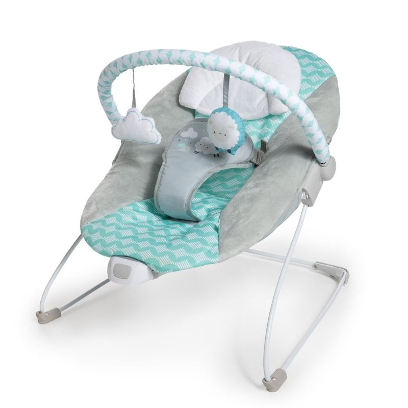 Bouncity Bounce Vibrating Deluxe Bouncer - Goji