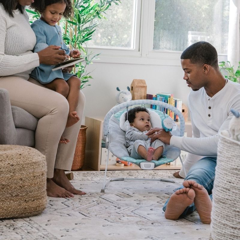 Bouncity Bounce Vibrating Deluxe Bouncer - Goji