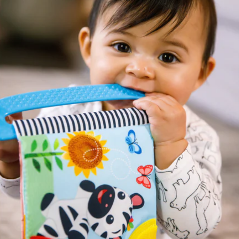 Curious Explorers Teether Book