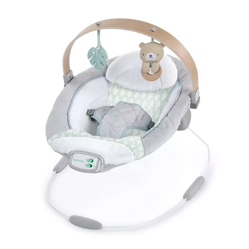 Cozy Spot Soothing Bouncer