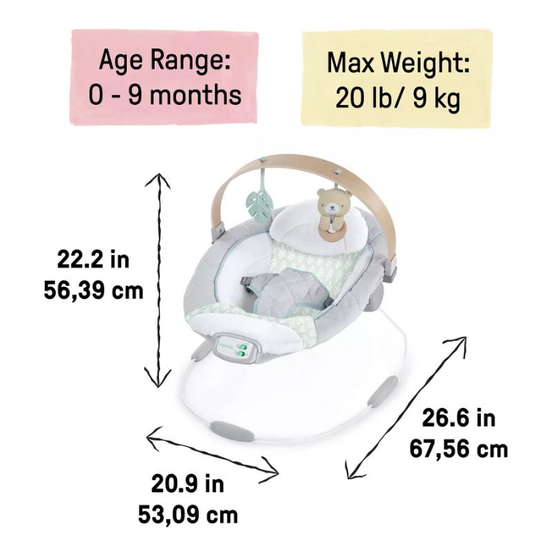 Cozy Spot Soothing Bouncer