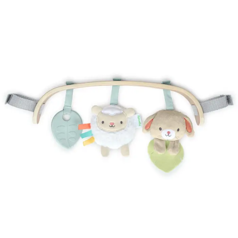 Wonder & Wood Carrier Toy Bar