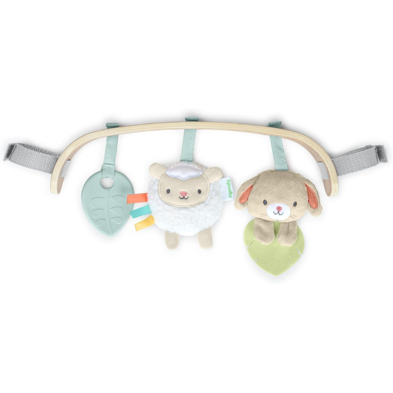 Wonder & Wood Carrier Toy Bar