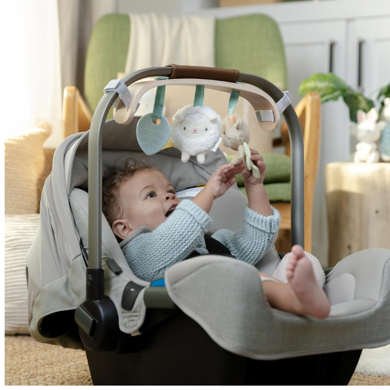 Wonder & Wood Carrier Toy Bar