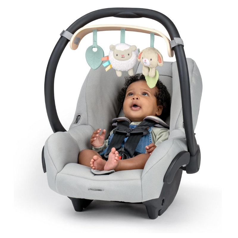 Wonder & Wood Carrier Toy Bar