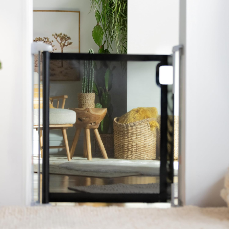 The Thruway 52W Series Retractable Gate