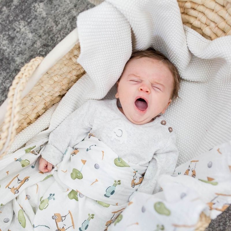 Lulu best sale baby swaddle