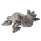 Axolotl Plush Toys