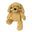 Golden Puppy