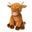 Highland Cow