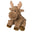Moose