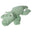 Alligator