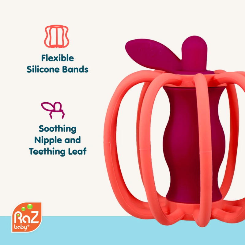 Teether & Rattle Toy