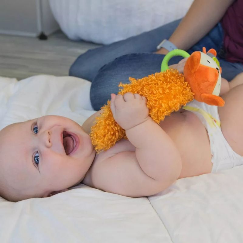 Developmental Toy