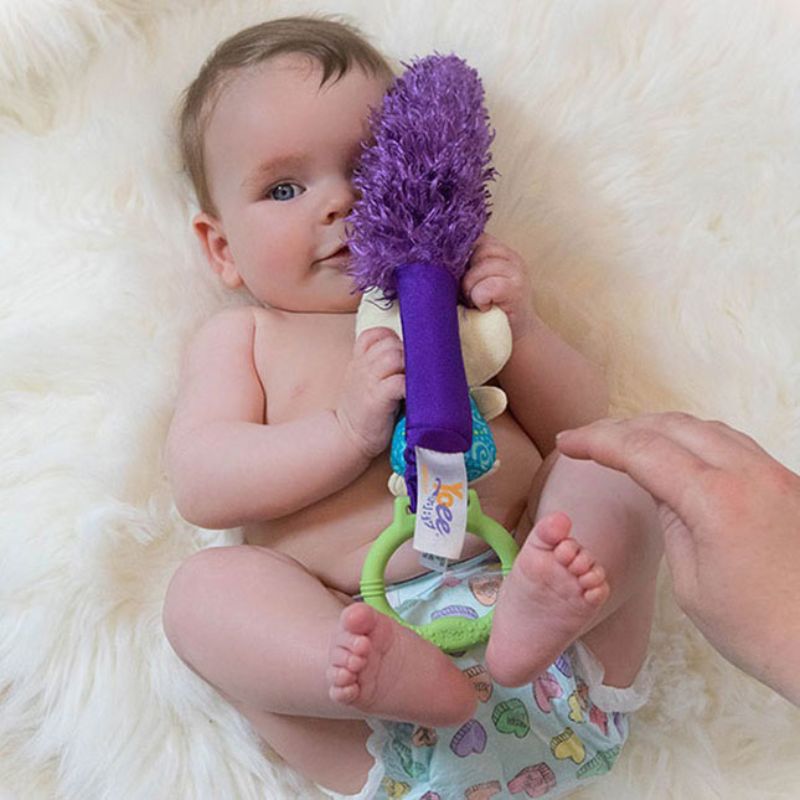 Developmental Toy