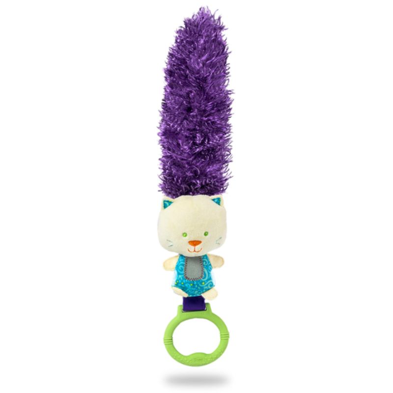 Developmental Toy Kitty