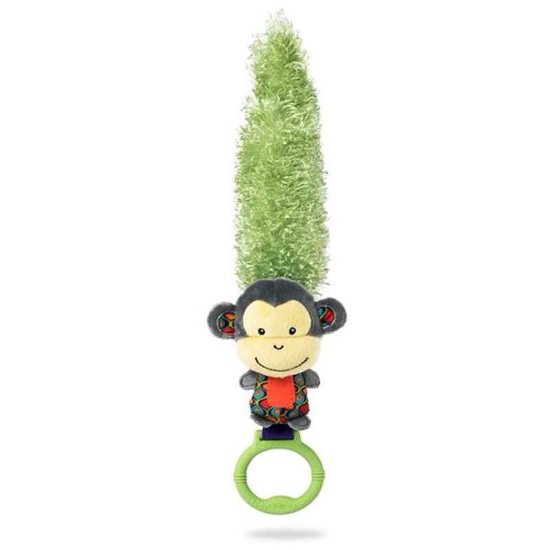 Developmental Toy